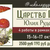 Царство грибов