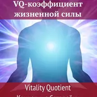 VQ-коэффициент жизненной силы. Концепция батарейки