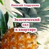 Сад на балконе. Фитодизайн и экзотический сад в квартире