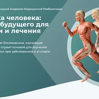 Биомеханика человека: технологии будущего для диагностики и лечения. Модуль 2. Анатомия и биомеханика суставов верхней конечности