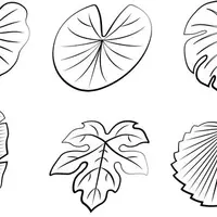 Одеяло листик. Тропическая коллекция