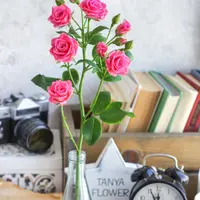 Кустовая роза