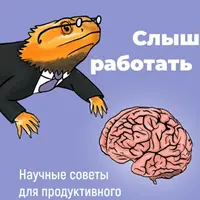 Слыш работать