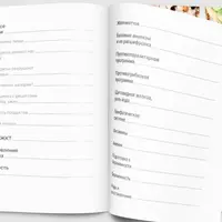 Основы здоровья