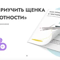 Как приучить щенка к чистоплотности