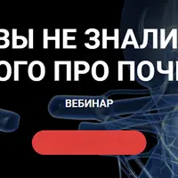 Вы не знали этого про почки!