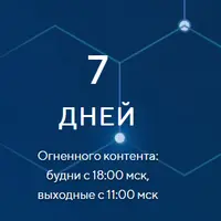 Network Conference
