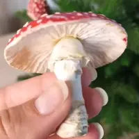 Мухомор из бумаги