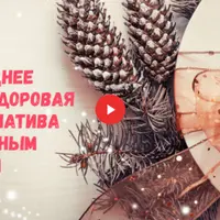 Новогоднее меню: здоровая альтернатива привычным блюдам