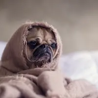 Большие перемены: что делать, если жизнь круто поменялась