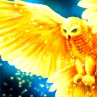 Божественная сова