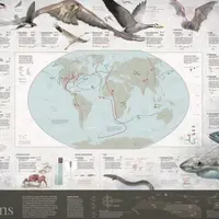 Создавайте инфографику, которая войдет в историю