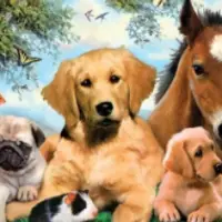 Исцеление и регенерация домашних животных