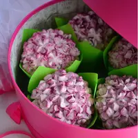 Зефирные гортензии