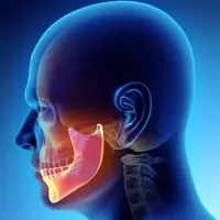 Височно-нижнечелюстной сустав