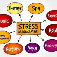 Иммунитет и защита от стресса