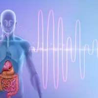 Пищеварение