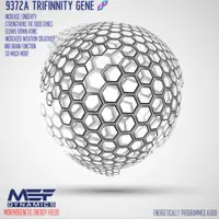 Ген тройственности 9372A