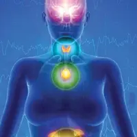 Омоложение эндокринной системы (Шишковидная железа, щитовидная железа, надпочечники - 537 Гц)