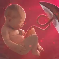 Оставайтесь вечно молодыми - Восстанавливайте свои теломеры