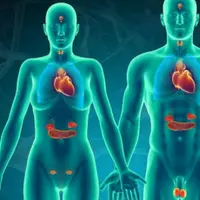 Целебные частоты (1335 Гц) - Нормализация функции надпочечников и баланс гормонов