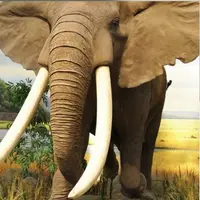 Накшатра Уттарашадха. Глубокий анализ