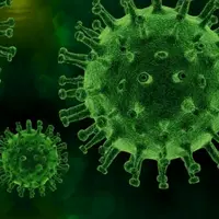 Укрепление иммунной системы и регенерация клеток. Частота тела Райфа 835 Гц