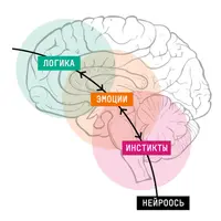 Новая орбита. Обновленный нейрокоучинг для достижения целей