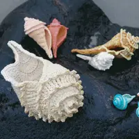 Вязание крючком морских обитателей и животных