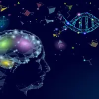 Эмоциональный сброс