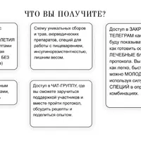 Умный протокол антиэйдж и онкопрофилактики