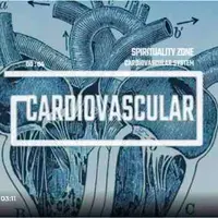 Сердечно-сосудистая система