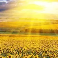 Внутреннее богатство и изобилие