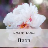 Пион из холодного фарфора