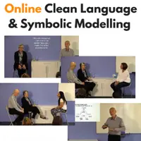 Чистый язык и символическое моделирование