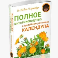 Полное фиторуководство о целебном растении Календула