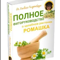 Полное фиторуководство о целебном растении Ромашка