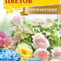 Сад любимых цветов