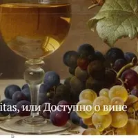 In vino veritas, или Доступно о вине