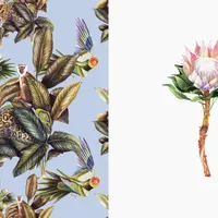 Акварельный ботанический скетчбук