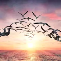 Истинная свобода