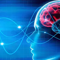 Сверхнейропластичность