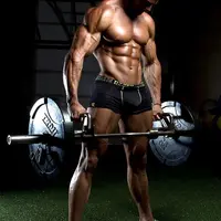 Набор мышц всего тела. Ноги, грудь, спина, руки, плечи