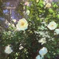 Цветущий шиповник