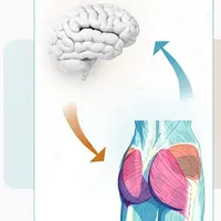 Активация ягодиц