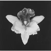 Маточные практики