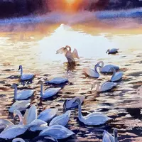 Насыщенный колорит. Лебединое озеро