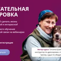 Воспитательная дрессировка