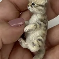 Реалистичный котик