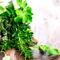 Ароматические растения и их польза для здоровья